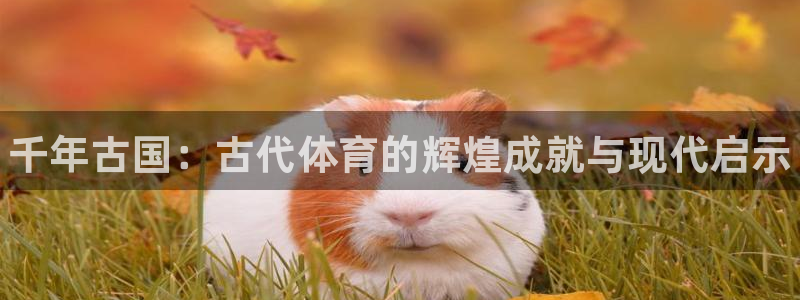 米兰体育官方正版app新能源：千年古国：古代体育的辉