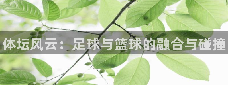 米兰体育官方平台体育：体坛风云：足球与篮球的融合与碰