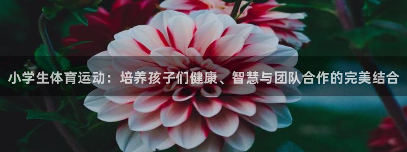 米兰体育官网下载平台注册流程视频：小学生体育运动：培养孩子们