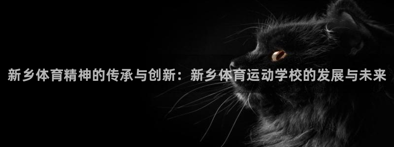 米兰体育官网下载平台注册要钱吗安全吗：新乡体育精神的传承与创