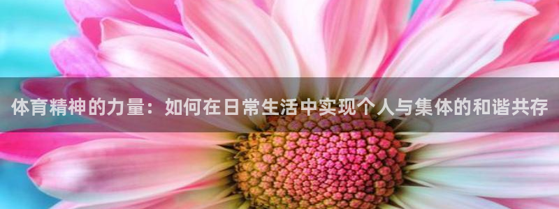 米兰体育官方正版app新能源：体育精神的力量：如何在日常生活
