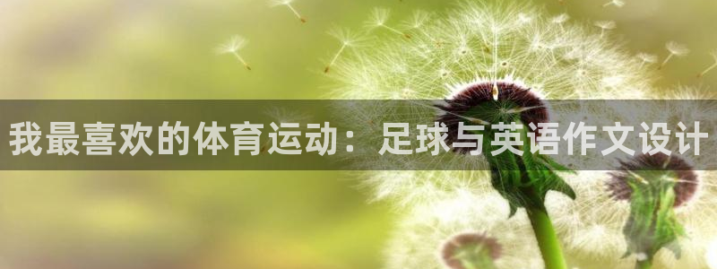 米兰体育官方平台体育：我最喜欢的体育运动：足球与英语