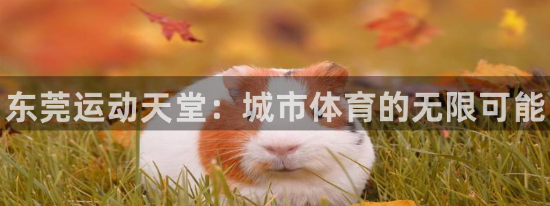 米兰体育官网下载招商电话号码：东莞运动天堂：城市体育的无限可