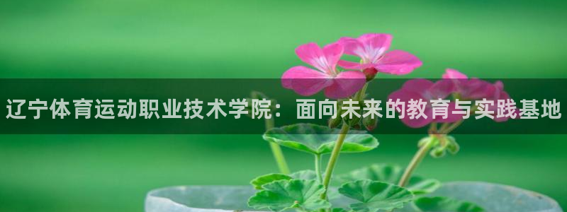 米兰体育官网下载招商电话号码查询是多少：辽宁体育运动