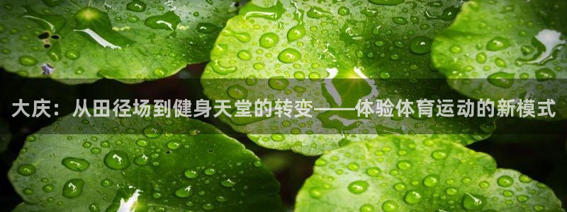 米兰体育官方正版app集团logo：大庆：从田径场到健身天堂
