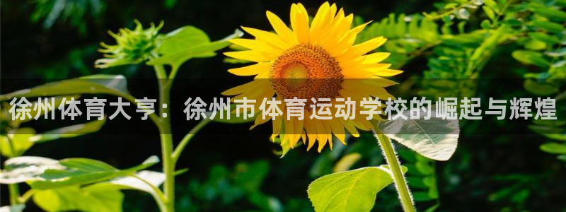 米兰体育官网下载平台注册流程视频：徐州体育大亨：徐州