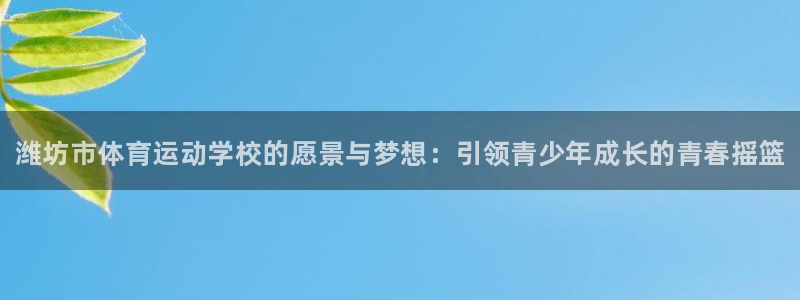 米兰体育官方正版app集团logo：潍坊市体育运动学