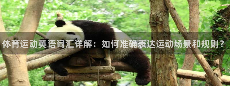 米兰体育官方正版app五金厂：体育运动英语词汇详解：