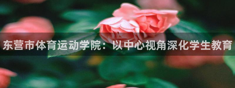 米兰体育官方正版app新能源：东营市体育运动学院：以