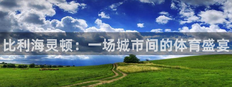 米兰体育官网下载平台注册要钱吗是真的吗：比利海灵顿：