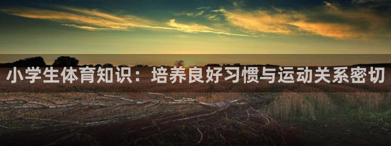米兰体育官方正版app集团官网首页网址：小学生体育知