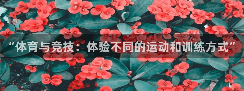 米兰体育官网下载招商电话号码：“体育与竞技：体验不同