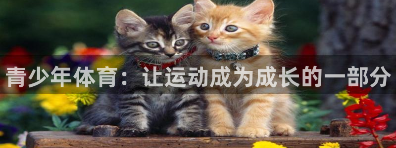 米兰体育官网下载注册：青少年体育：让运动成为成长的一部分