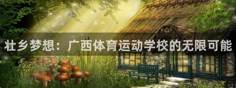 米兰体育官网下载：壮乡梦想：广西体育运动学校的无限可