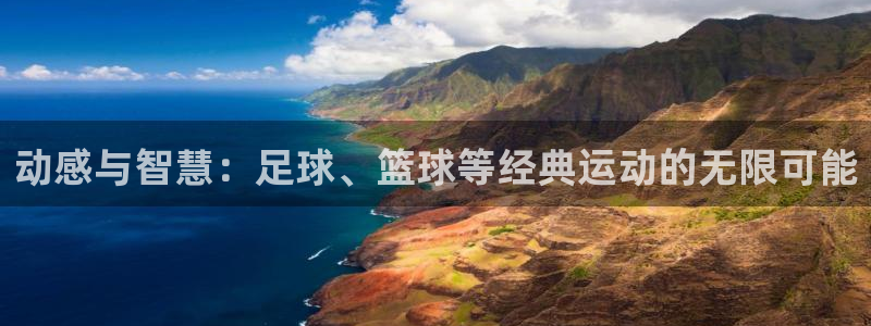 米兰体育官网下载平台是正规平台吗：动感与智慧：足球、篮球等经