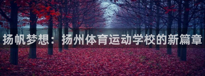 米兰体育官方正版app娱乐代理怎么样：扬帆梦想：扬州体育运动